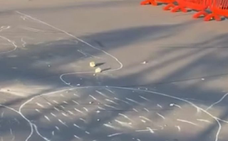 Montesilvano, nuovi atti vandalici sull’arena degli eventi: la denuncia del sindaco