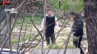 Blitz dei Carabinieri: 12 arresti per traffico di sostanze stupefacenti