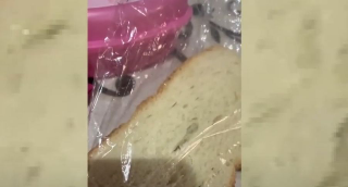 Zanzara trovata nel pane in mensa scolastica, il Comune avvia i controlli